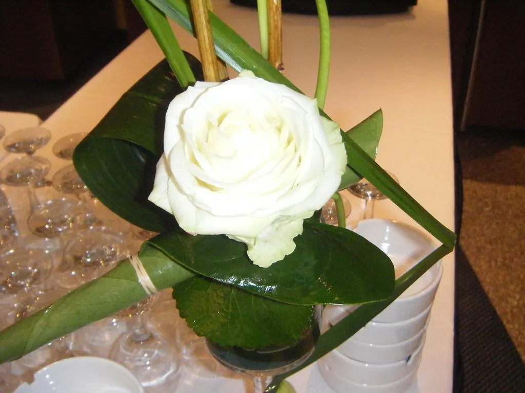 Starlight Suites Hotel Bucharest